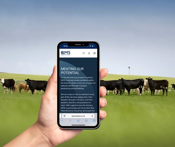 ‘Meating Our Potential’: QMS Launches New Roadmap to Grow Scotland’s Red Meat Sector Sustainably